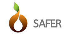 Partner Safer Logo